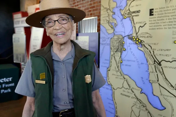 0c19f25dd0725ce8a99b2a3ed7b6e84b