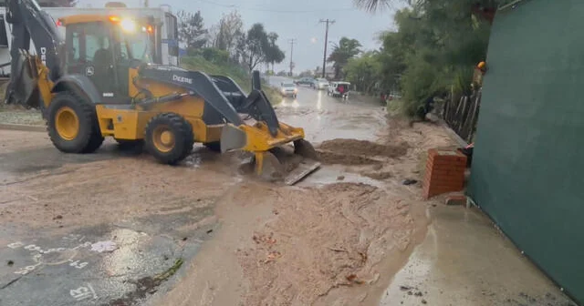 1224 en full 4269262