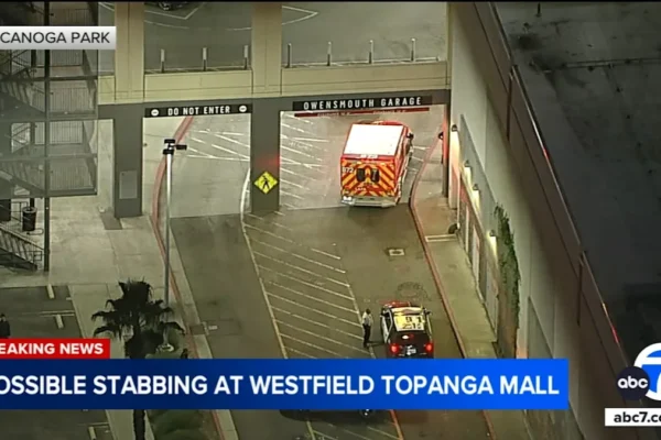 13c5aaf071ec4da429965bbf20b7094e