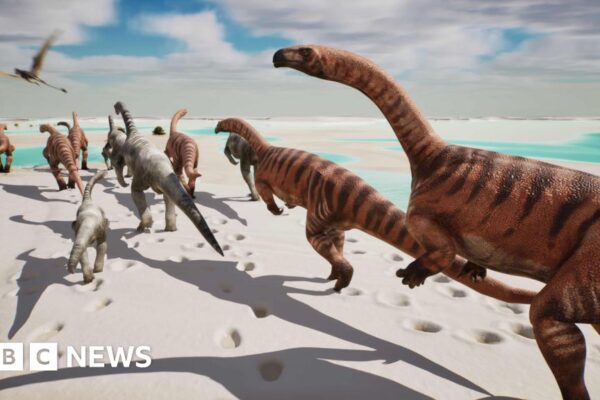 16da3e40 da91 11f0 aae2 2191c0e48a3b