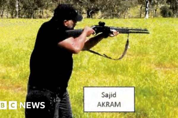 50b39050 defe 11f0 b67b 690eb873de1b