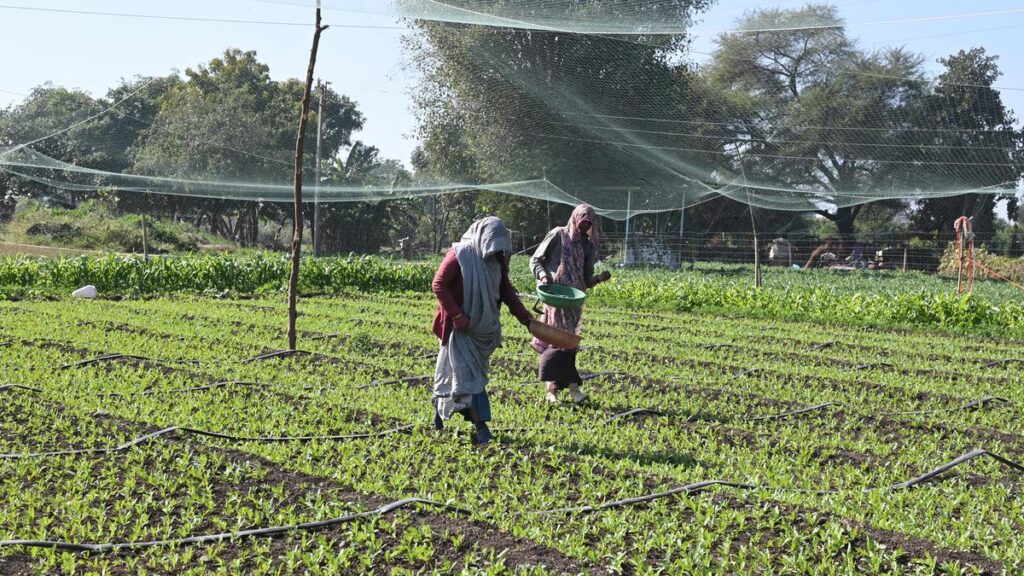 6744 20 12 2025 16 15 8 3 DSC 1904