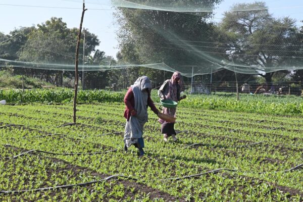 6744 20 12 2025 16 15 8 3 DSC 1904