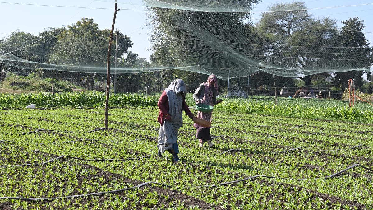 6744 20 12 2025 16 15 8 3 DSC 1904