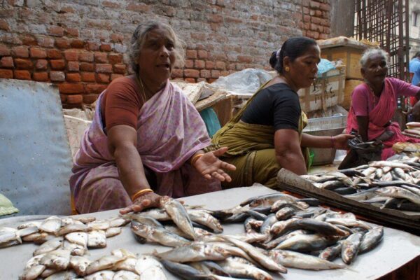 7168726622 499a2276df o e1766384830475