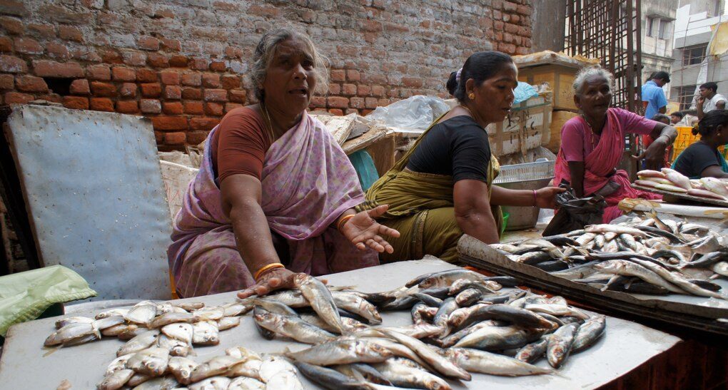 7168726622 499a2276df o e1766384830475