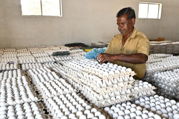 9868 28 7 2025 14 32 12 1 NAMAKKALEGG 2