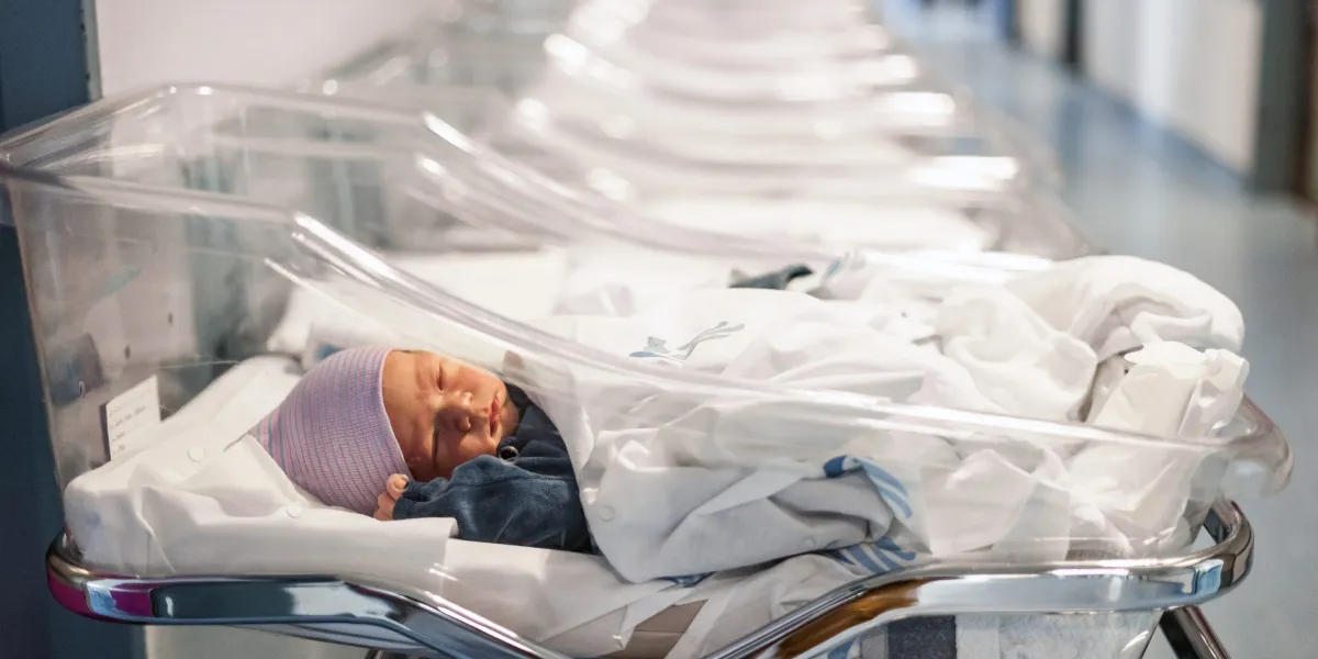 GettyImages 1027723148 e1766521125980