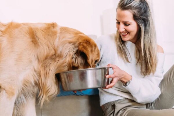 GettyImages 1322459895 e1766580379131