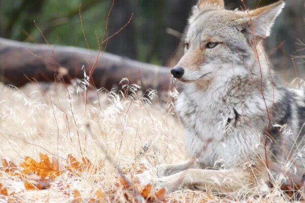 GettyImages 1390749879 e1766100013189