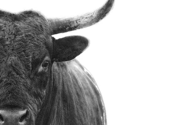 GettyImages 1469520721