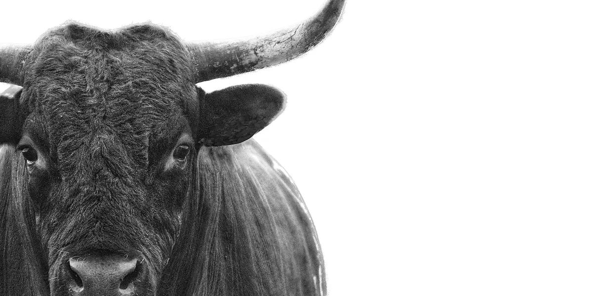 GettyImages 1469520721