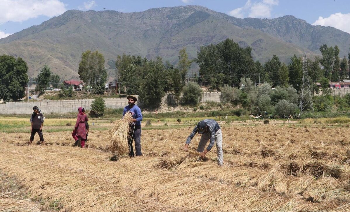 IMG 20251130 WA0005 e1766127592387