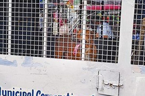 MCD appoints 1GP5F9DTB5.3.jpg