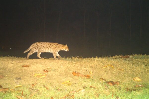 WhatsApp Image 2025 12 03 at 7.37.53 PM 1