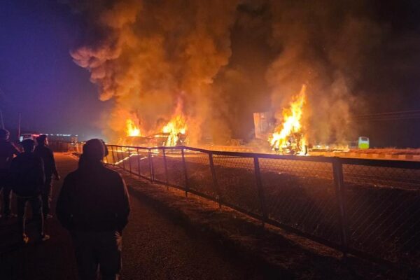 WhatsApp20Image202025 12 2520at2008.21.52