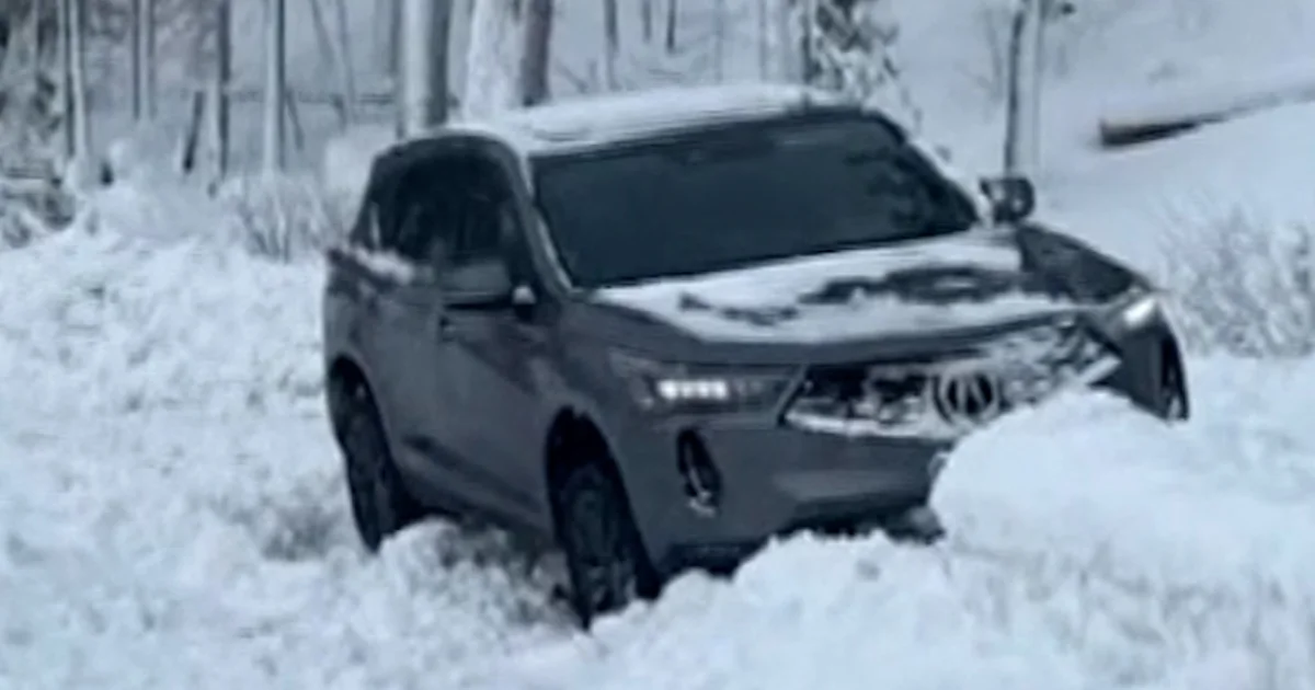 Winter Storm Thumb Vert tynhse