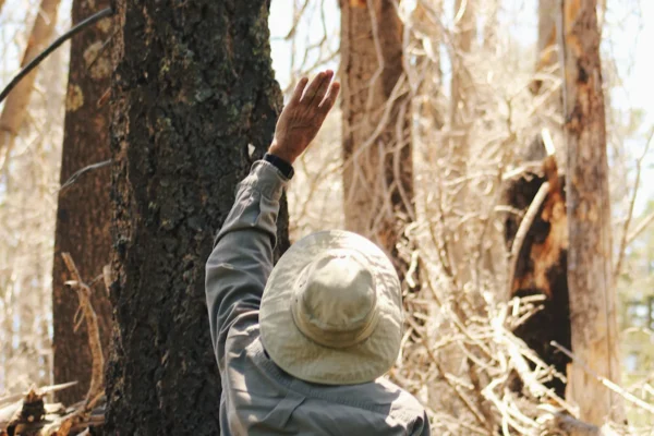 a20abce929e737d4cc0c4d016541d2bb