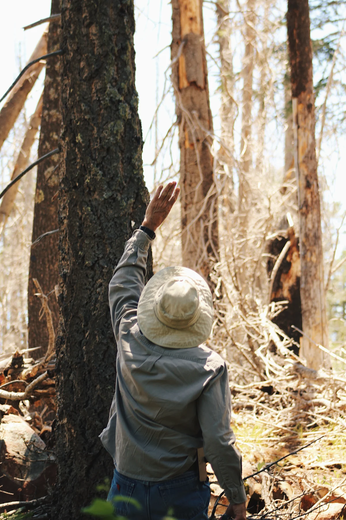 a20abce929e737d4cc0c4d016541d2bb