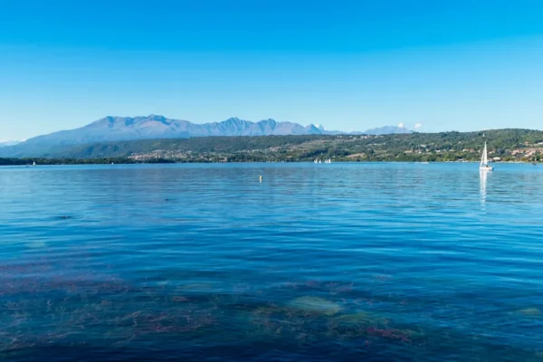 c9533fb654010652258829b10cd84bb7