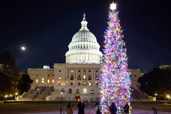 capitol hill christmas tree