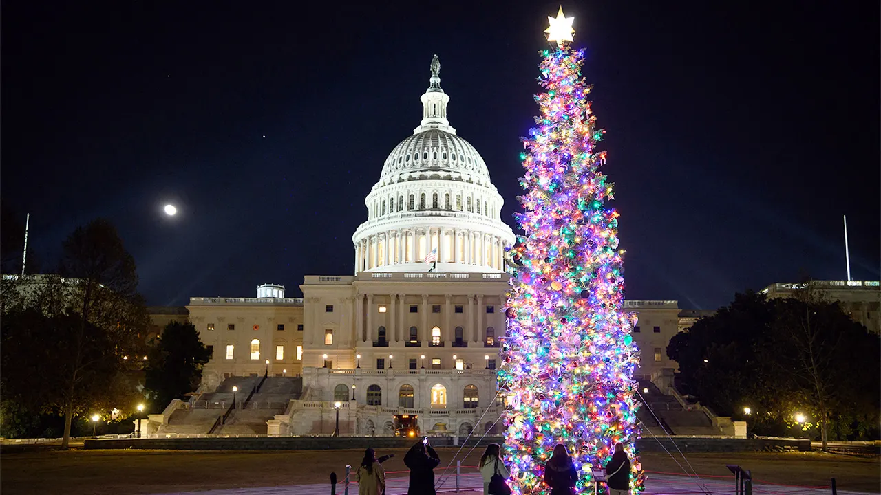 capitol hill christmas tree