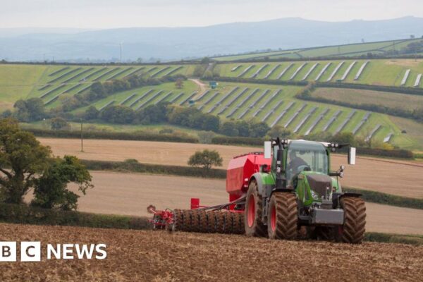 d969c690 dc14 11f0 a8dc 93c15fe68710