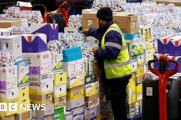 f9c9e9e0 da9f 11f0 b825 331725716d67