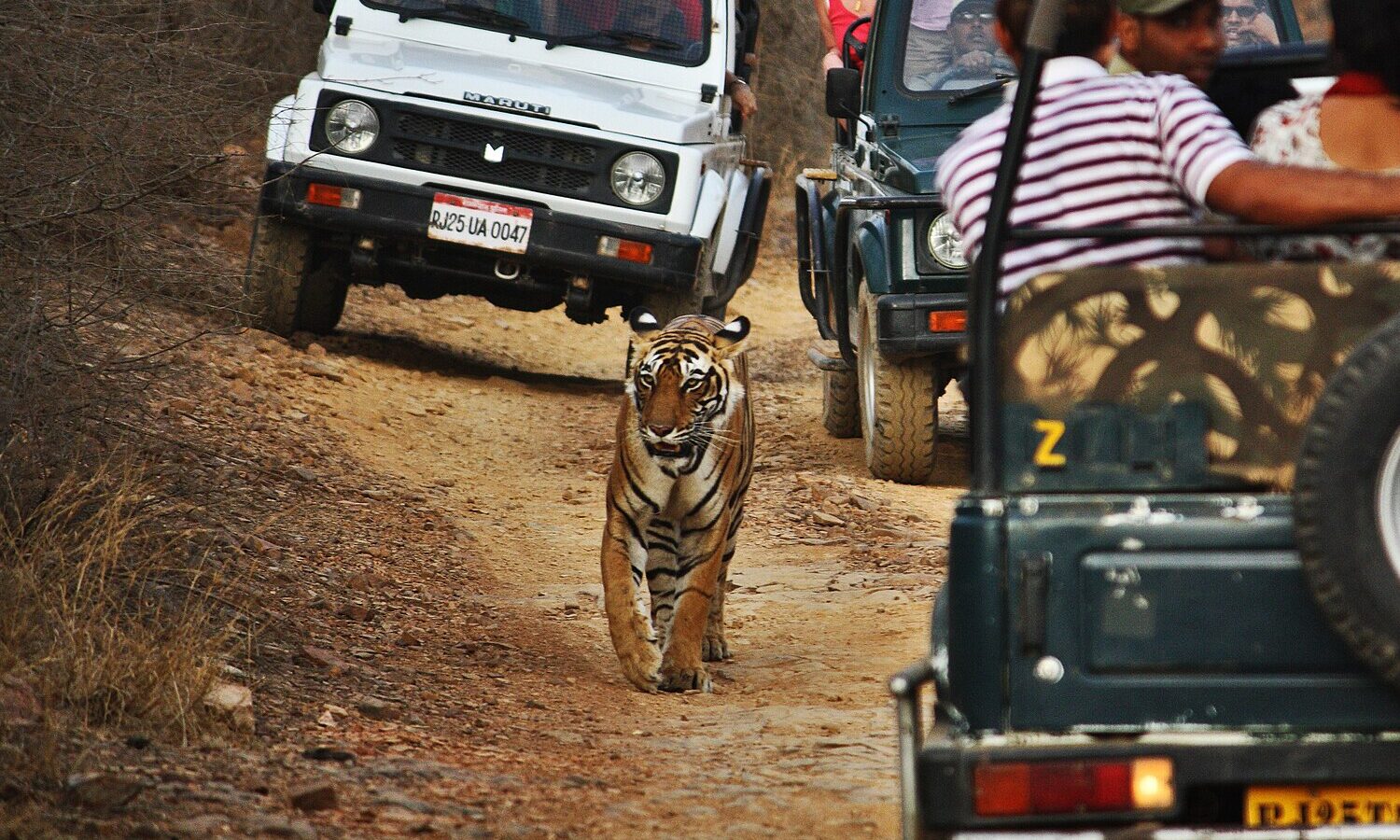 image 3 1 e1766121818380