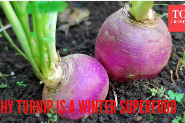 msid 126037446imgsize 1156139.cms