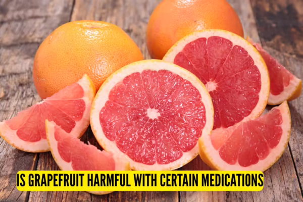 msid 126070168imgsize 1506110.cms