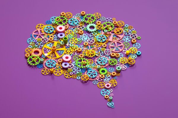 urlhttp3A2F2Fnpr brightspot.s3.amazonaws.com2F072Fc02F6849df574c82baca376ef20449d02Fgettyim