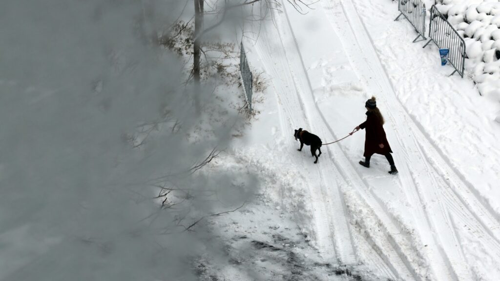 urlhttp3A2F2Fnpr brightspot.s3.amazonaws.com2F6e2F0d2Fbf40c1344a4cb55cc475d6e540e62Fny snow