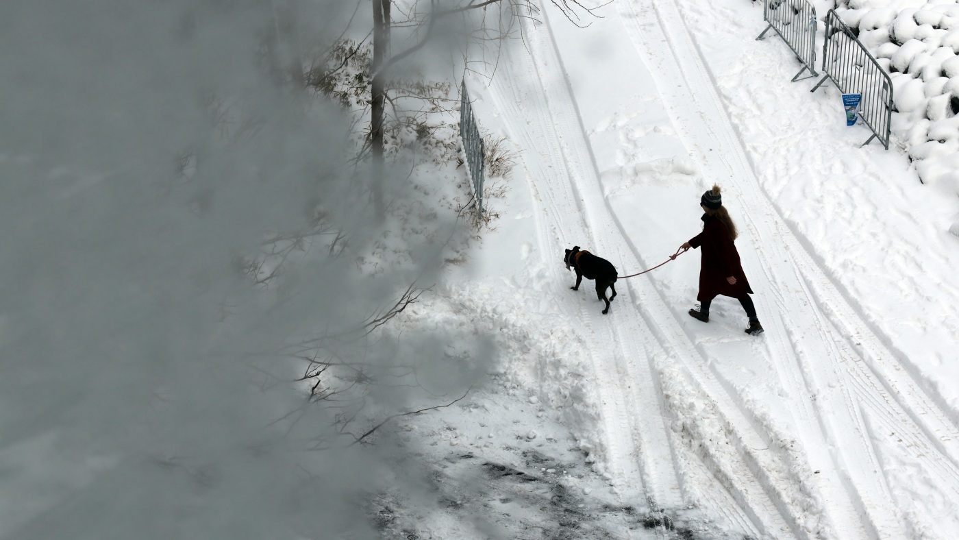 urlhttp3A2F2Fnpr brightspot.s3.amazonaws.com2F6e2F0d2Fbf40c1344a4cb55cc475d6e540e62Fny snow