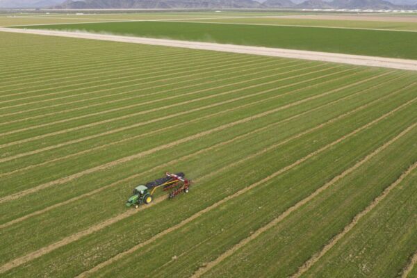 urlhttps3A2F2Fcalifornia times brightspot.s3.amazonaws.com2F312F4b2F681a1a874535b7fdbcd16453