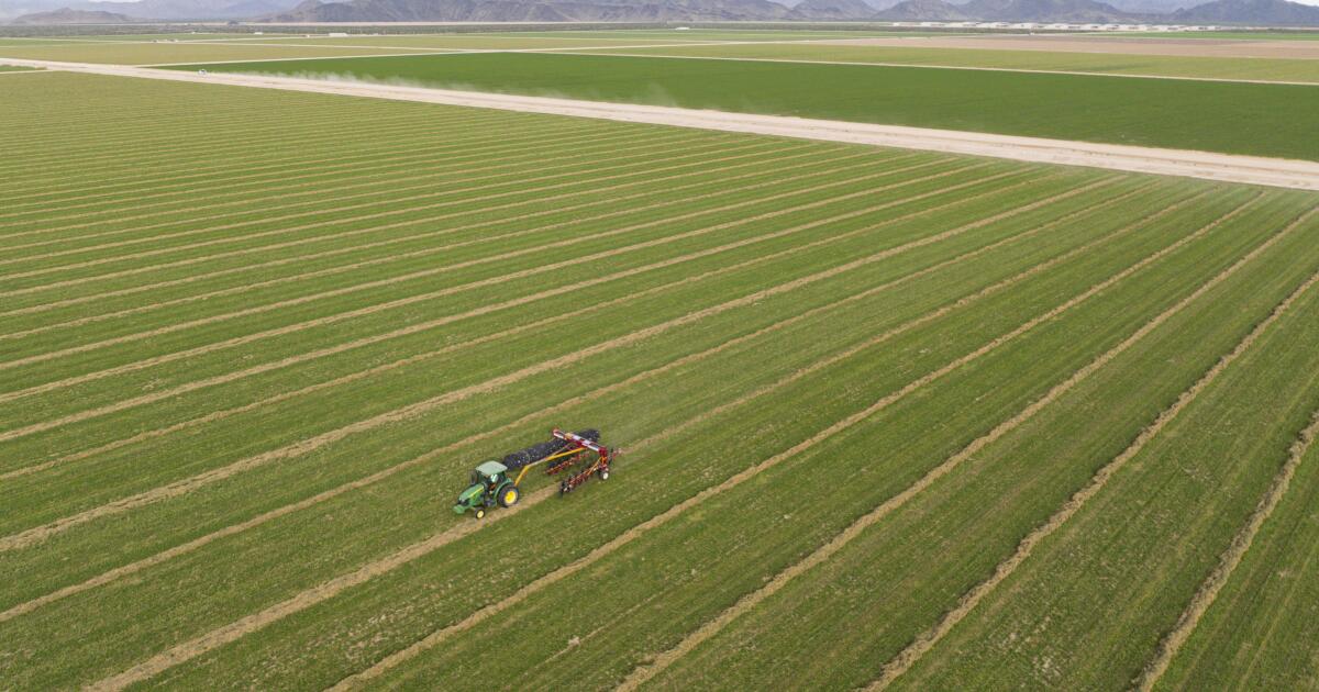 urlhttps3A2F2Fcalifornia times brightspot.s3.amazonaws.com2F312F4b2F681a1a874535b7fdbcd16453