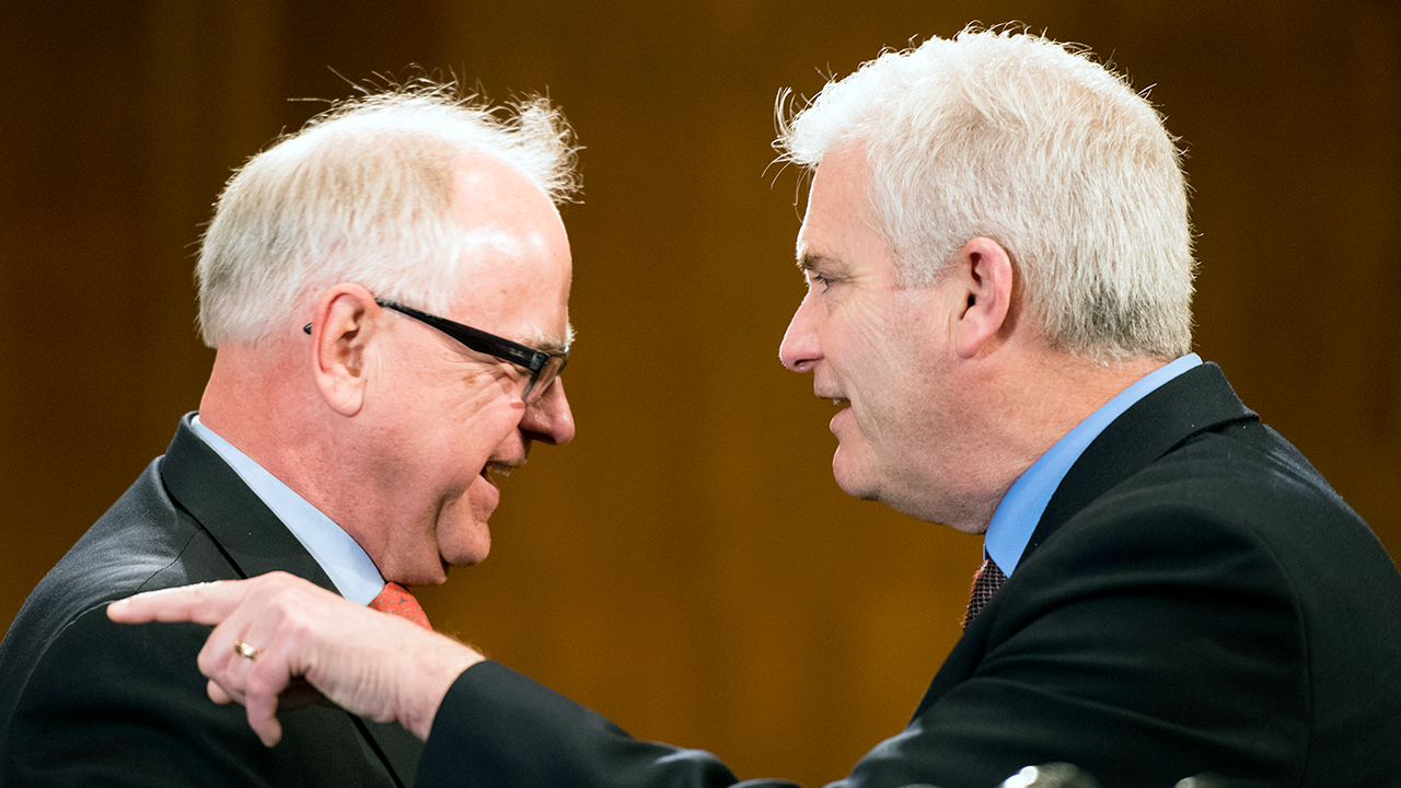walz and emmer in congress