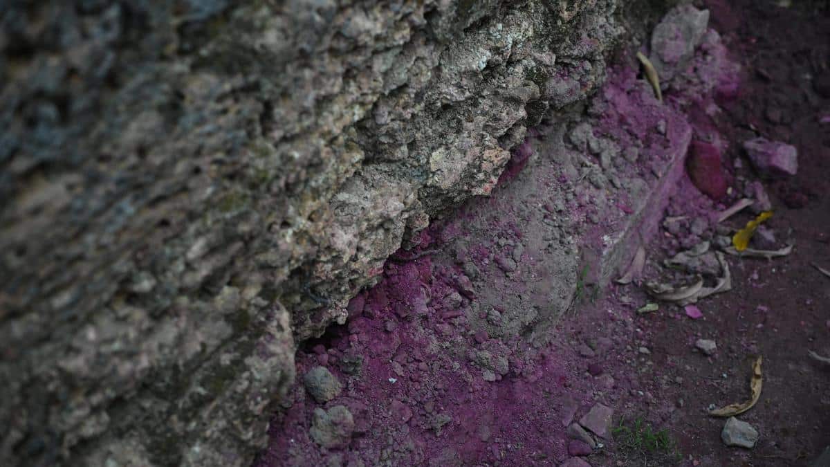 10018 22 1 2026 20 25 10 3 COLOR 03.JPG