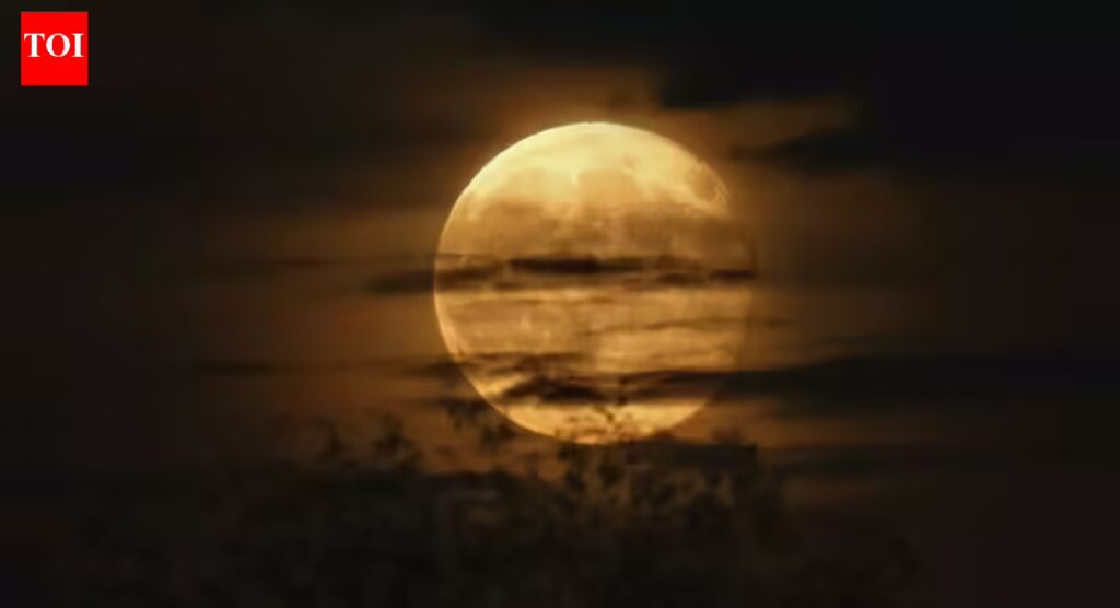 What happens if the Moon disappears | 1 1767461653 photo.jpg