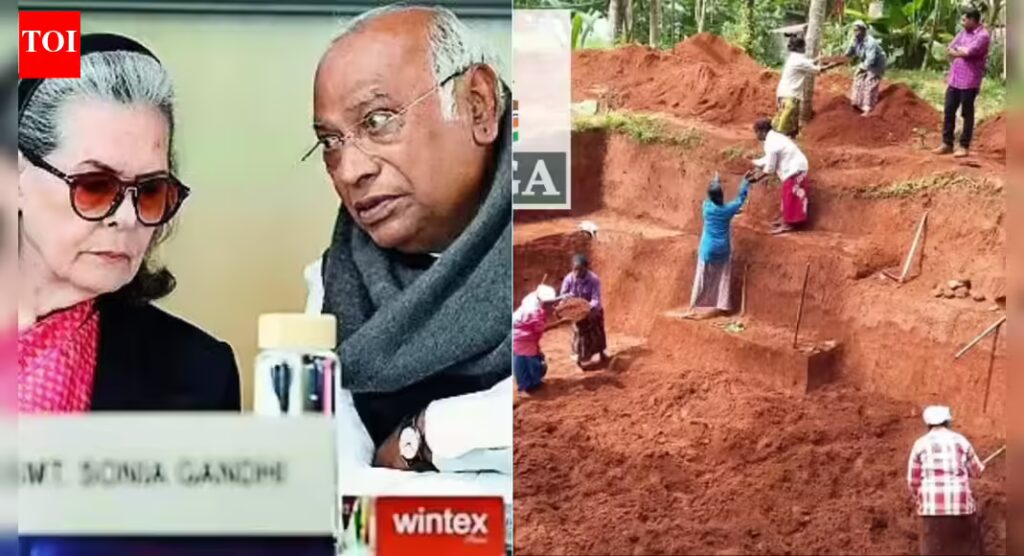 1767478926 photo.jpg