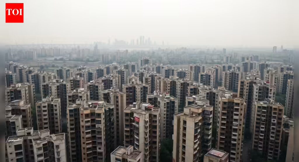 1767534688 photo.jpg