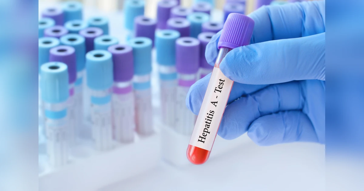 1767594646 4509.jpeg