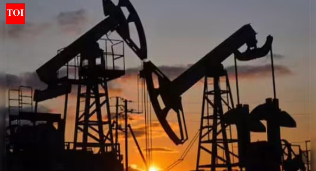 1767624665 photo.jpg