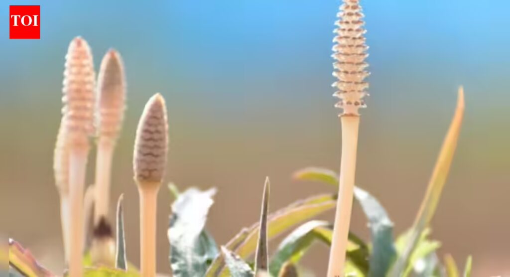 1767807888 photo.jpg