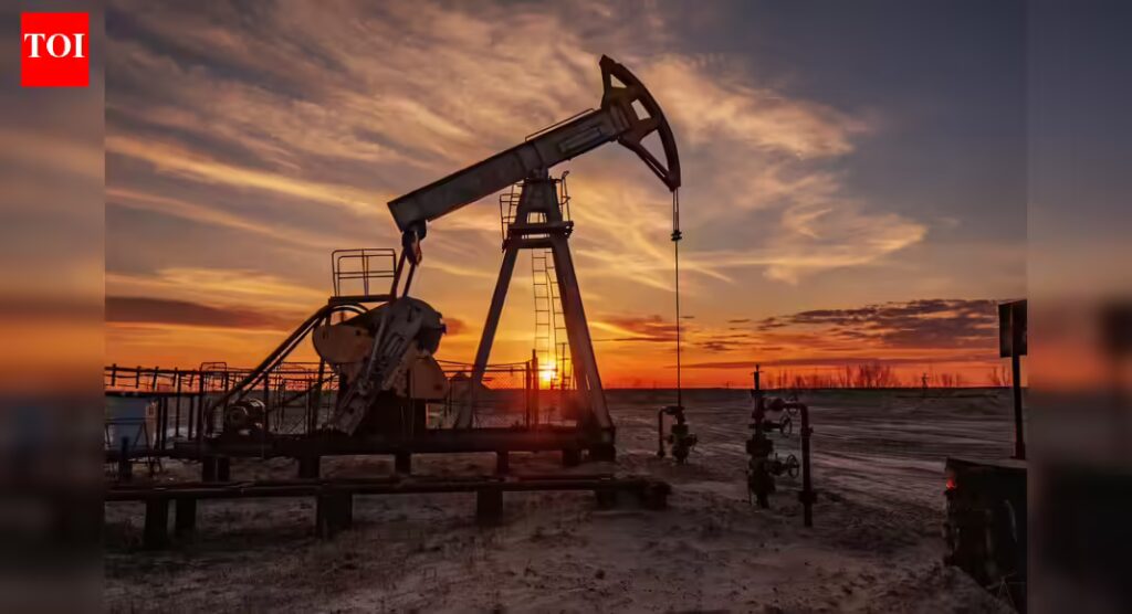 1768036447 photo.jpg