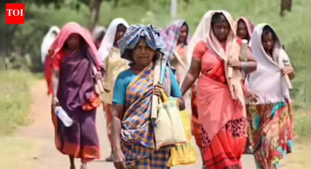 1768079296 photo.jpg