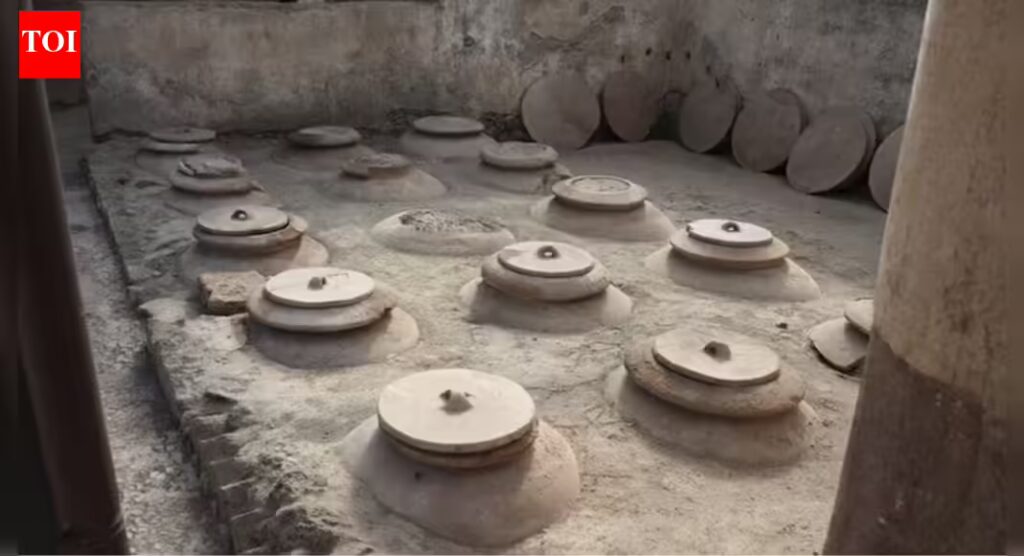 2,000-year-old Roman wine recreated by scientists and the taste surprises everyone | 1 1768418766 photo.jpg