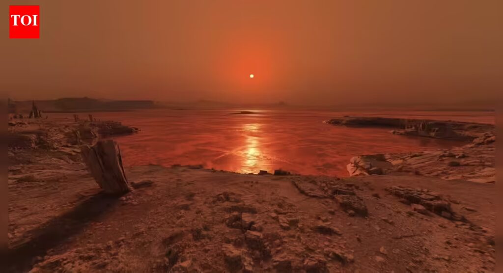 1768464796 photo.jpg