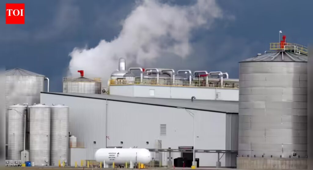 1768559795 photo.jpg