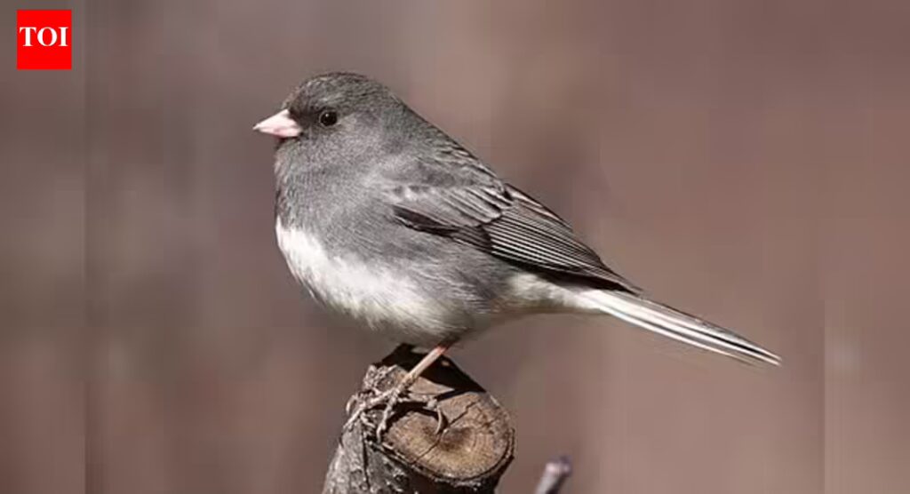 1768561364 photo.jpg